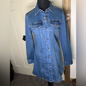 C’est Toi Denim Button-Up Dress Coastal Cowgirl Normcore Scandi